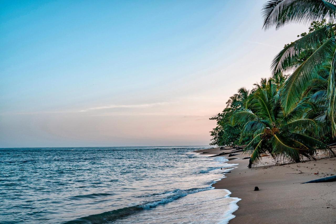 Casitas Las Flores Puerto Viejo de Talamanca ภายนอก รูปภาพ