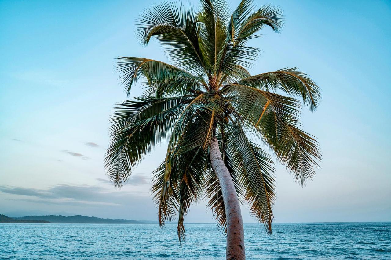 Casitas Las Flores Puerto Viejo de Talamanca ภายนอก รูปภาพ