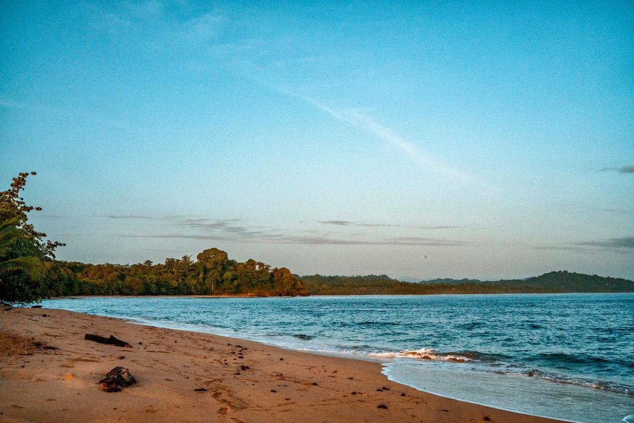 Casitas Las Flores Puerto Viejo de Talamanca ภายนอก รูปภาพ