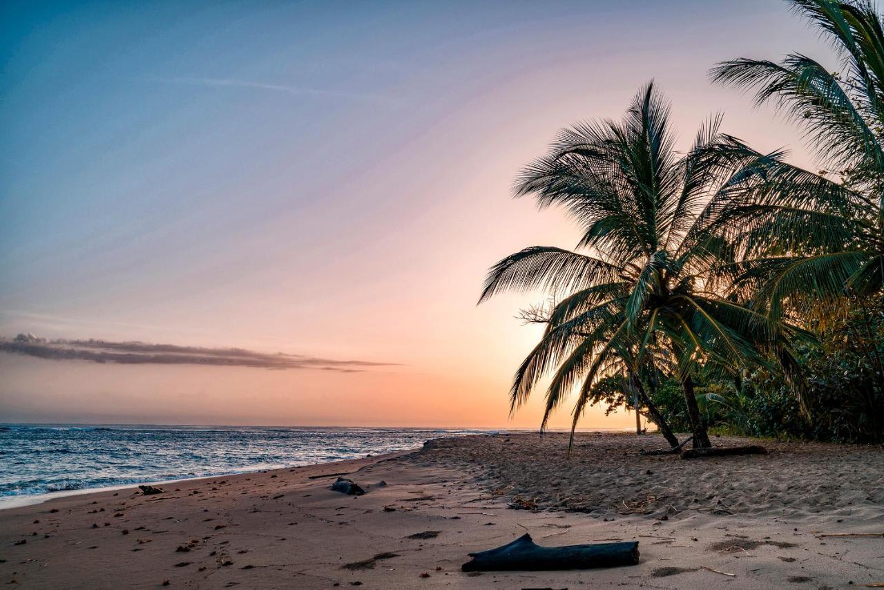 Casitas Las Flores Puerto Viejo de Talamanca ภายนอก รูปภาพ