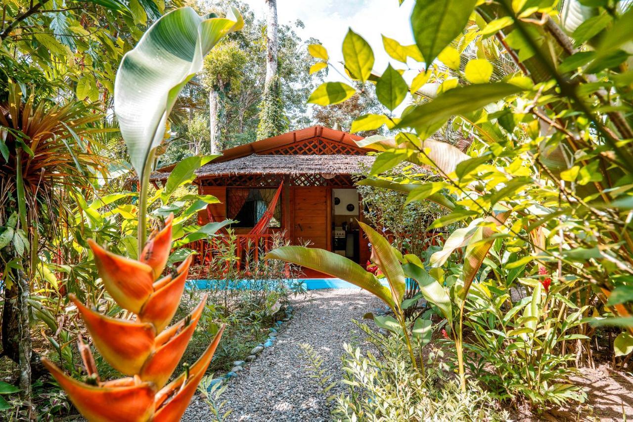 Casitas Las Flores Puerto Viejo de Talamanca ภายนอก รูปภาพ