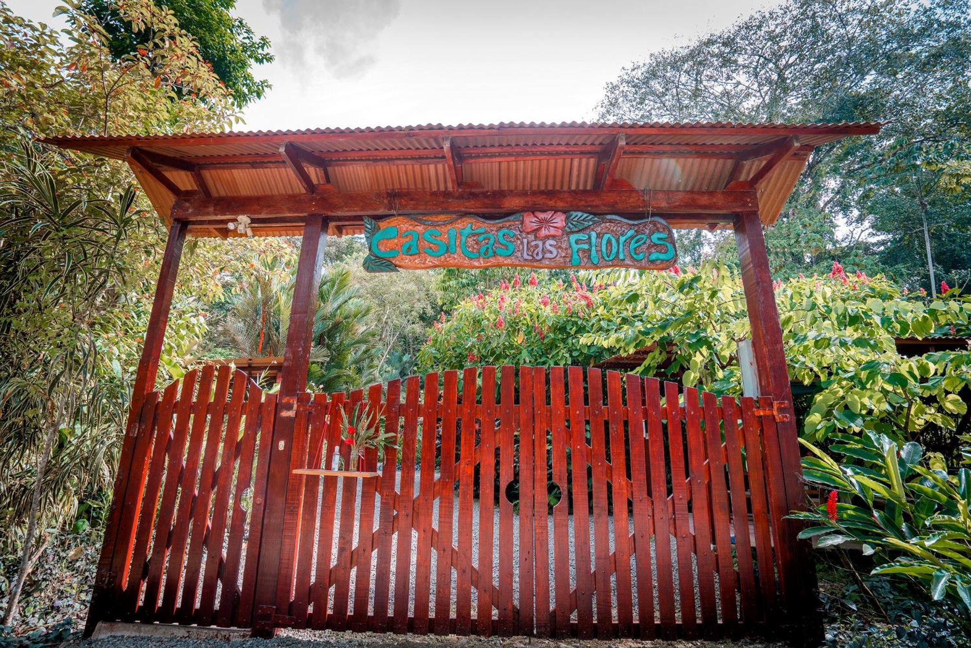 Casitas Las Flores Puerto Viejo de Talamanca ภายนอก รูปภาพ
