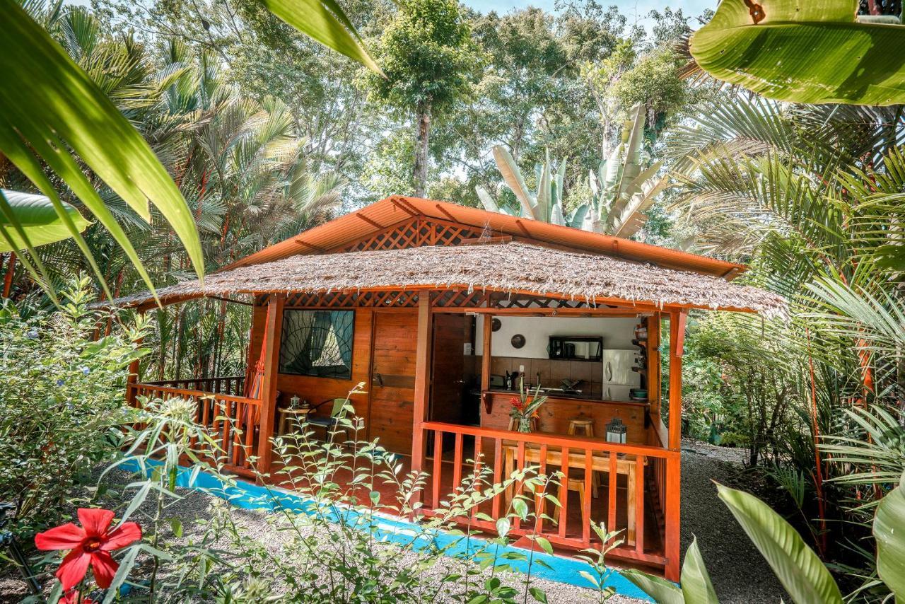 Casitas Las Flores Puerto Viejo de Talamanca ภายนอก รูปภาพ