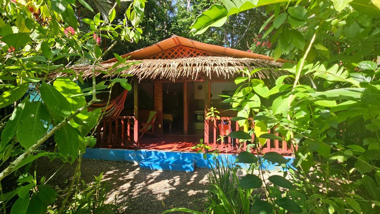 Casitas Las Flores Puerto Viejo de Talamanca ภายนอก รูปภาพ