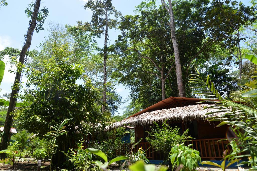 Casitas Las Flores Puerto Viejo de Talamanca ภายนอก รูปภาพ