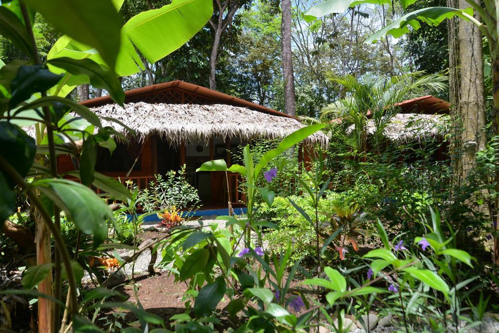 Casitas Las Flores Puerto Viejo de Talamanca ภายนอก รูปภาพ