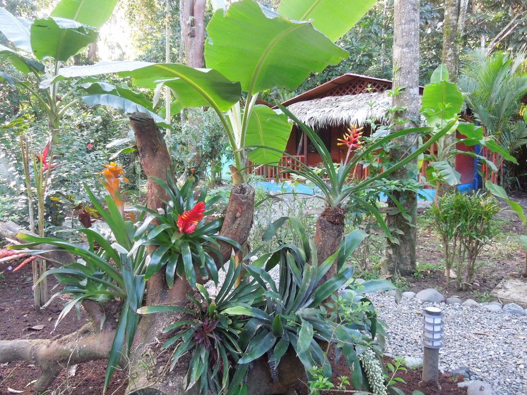 Casitas Las Flores Puerto Viejo de Talamanca ภายนอก รูปภาพ