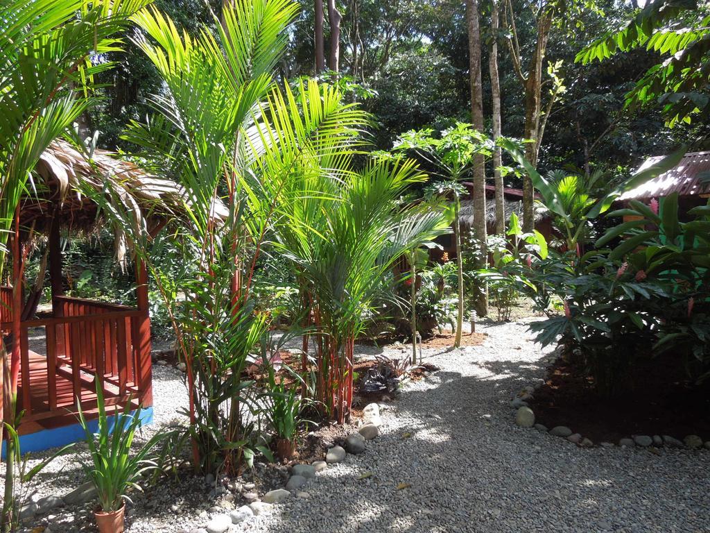 Casitas Las Flores Puerto Viejo de Talamanca ภายนอก รูปภาพ