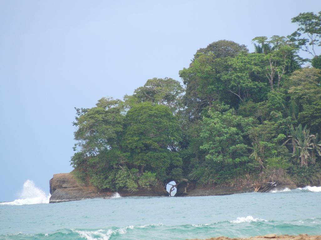 Casitas Las Flores Puerto Viejo de Talamanca ภายนอก รูปภาพ