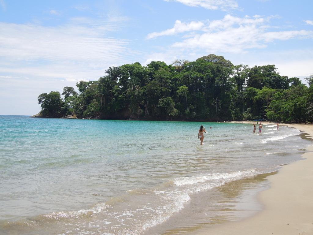 Casitas Las Flores Puerto Viejo de Talamanca ภายนอก รูปภาพ