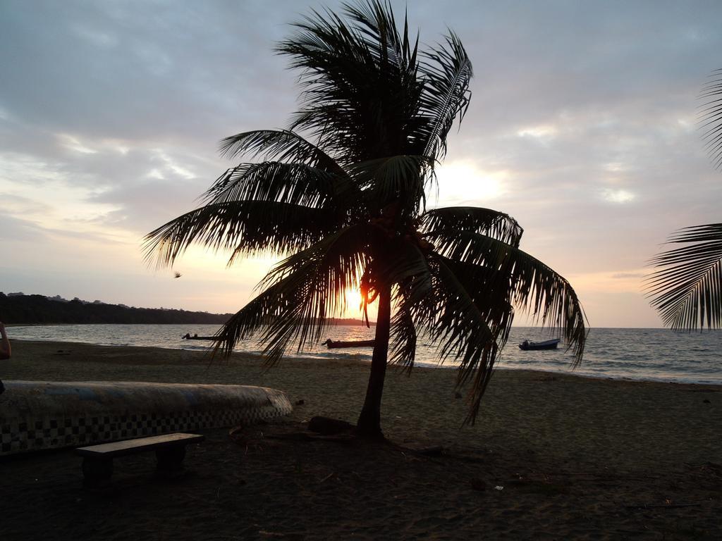 Casitas Las Flores Puerto Viejo de Talamanca ภายนอก รูปภาพ