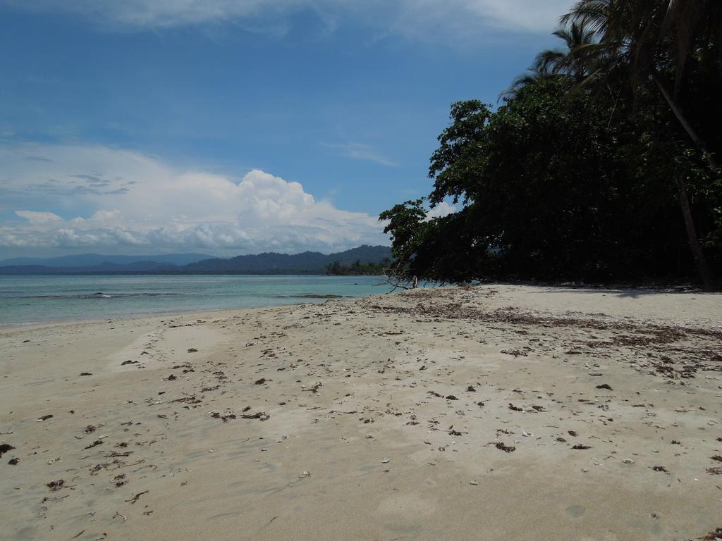 Casitas Las Flores Puerto Viejo de Talamanca ภายนอก รูปภาพ