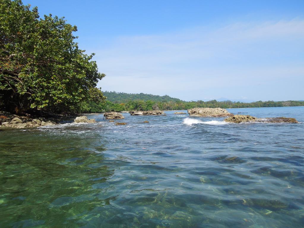 Casitas Las Flores Puerto Viejo de Talamanca ภายนอก รูปภาพ