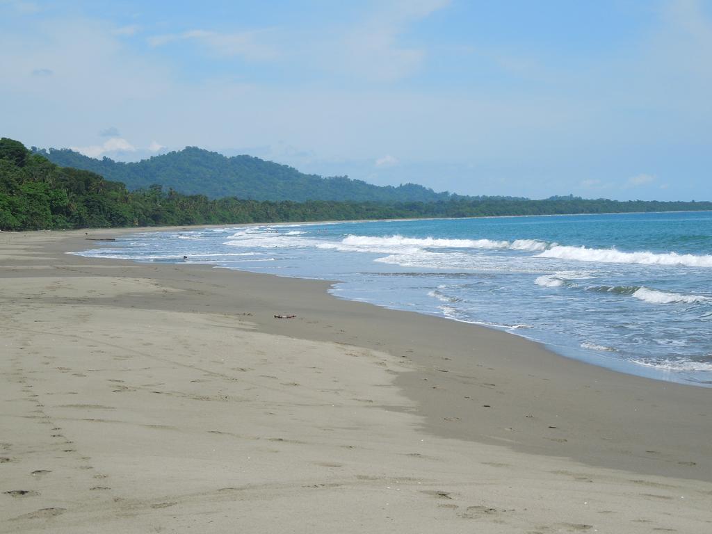 Casitas Las Flores Puerto Viejo de Talamanca ภายนอก รูปภาพ
