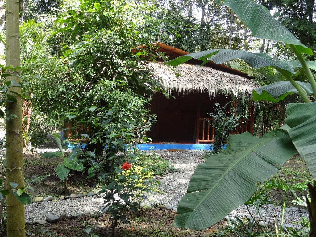 Casitas Las Flores Puerto Viejo de Talamanca ภายนอก รูปภาพ
